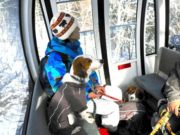 Gondola Ride