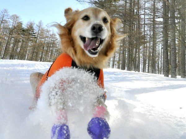 Running down the snowfield!２