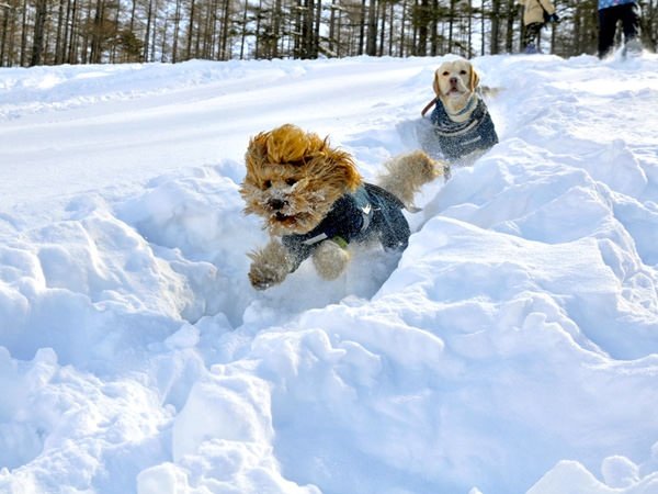 Running down the snowfield!３