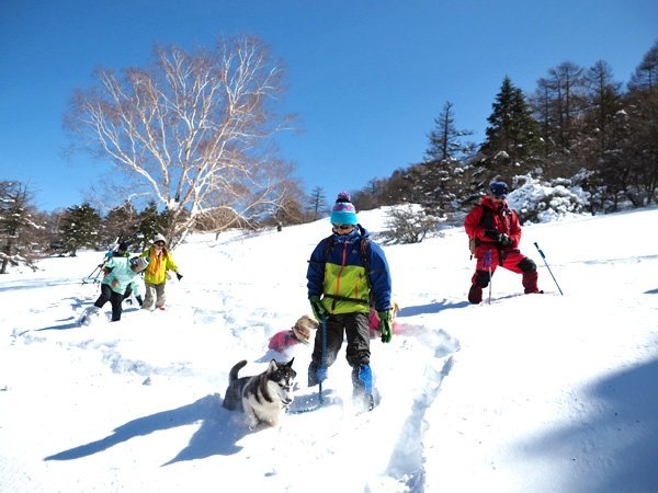 Playing and trekking in the snow again